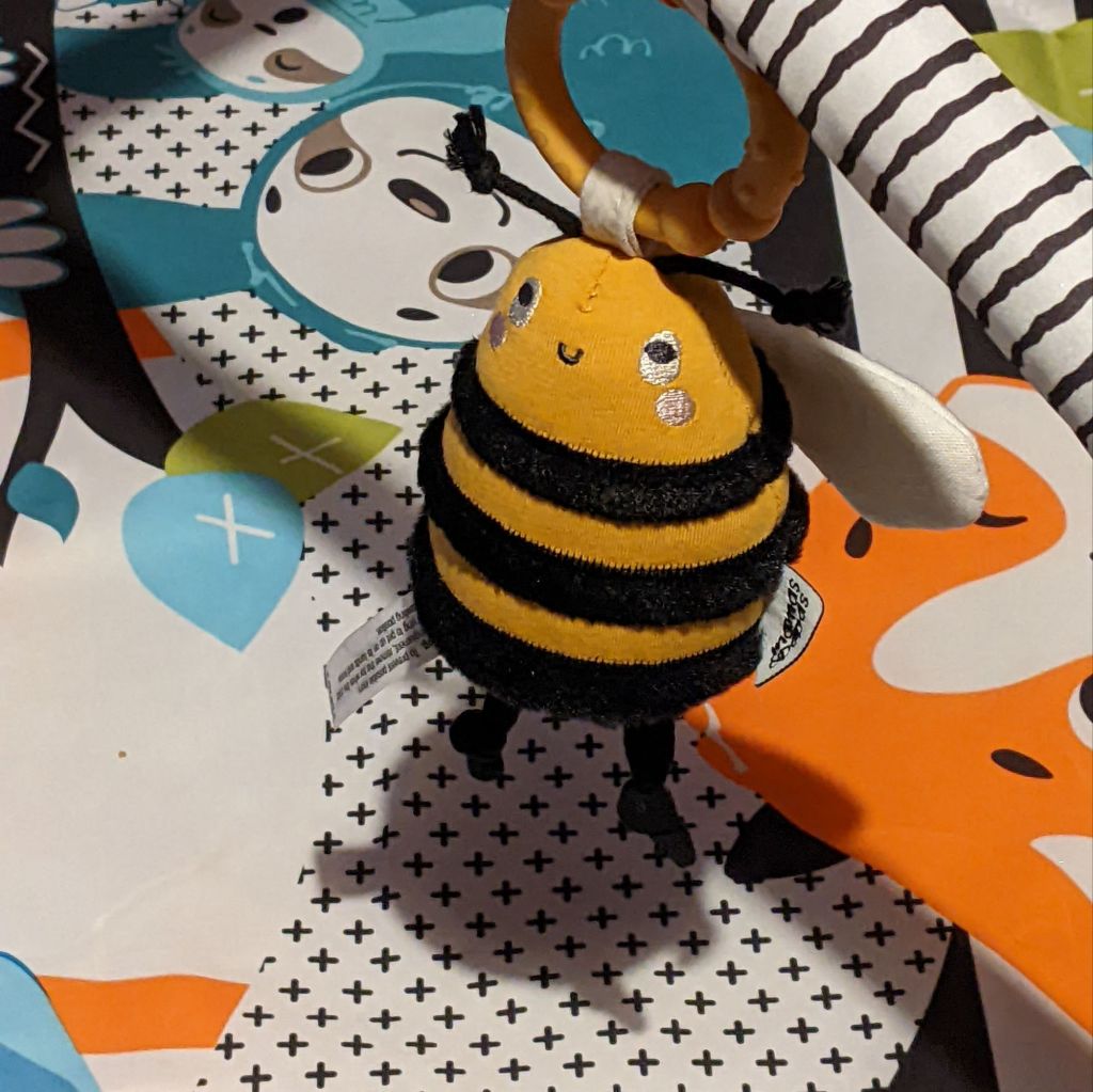 A dangly bee toy 